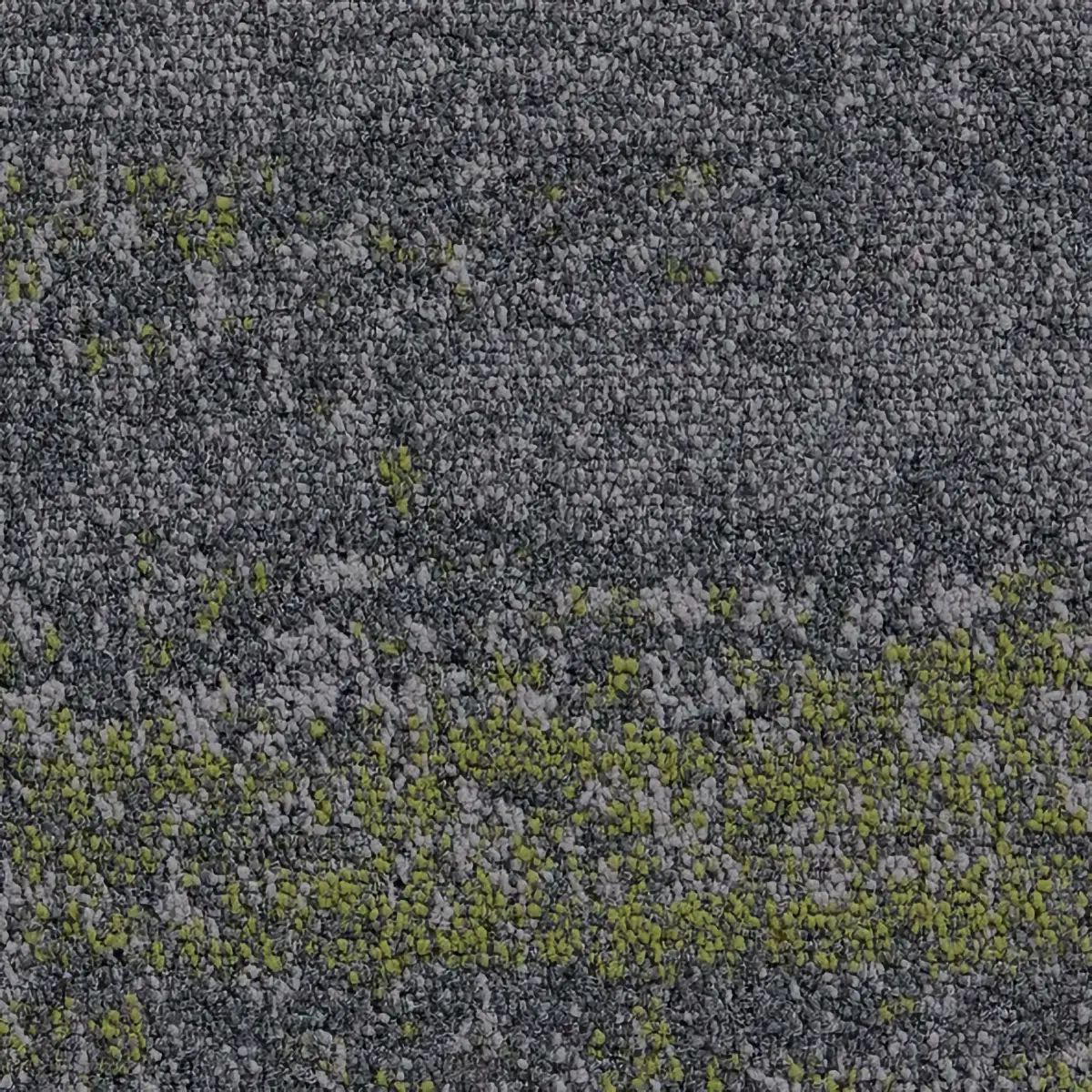 Landform - Fields