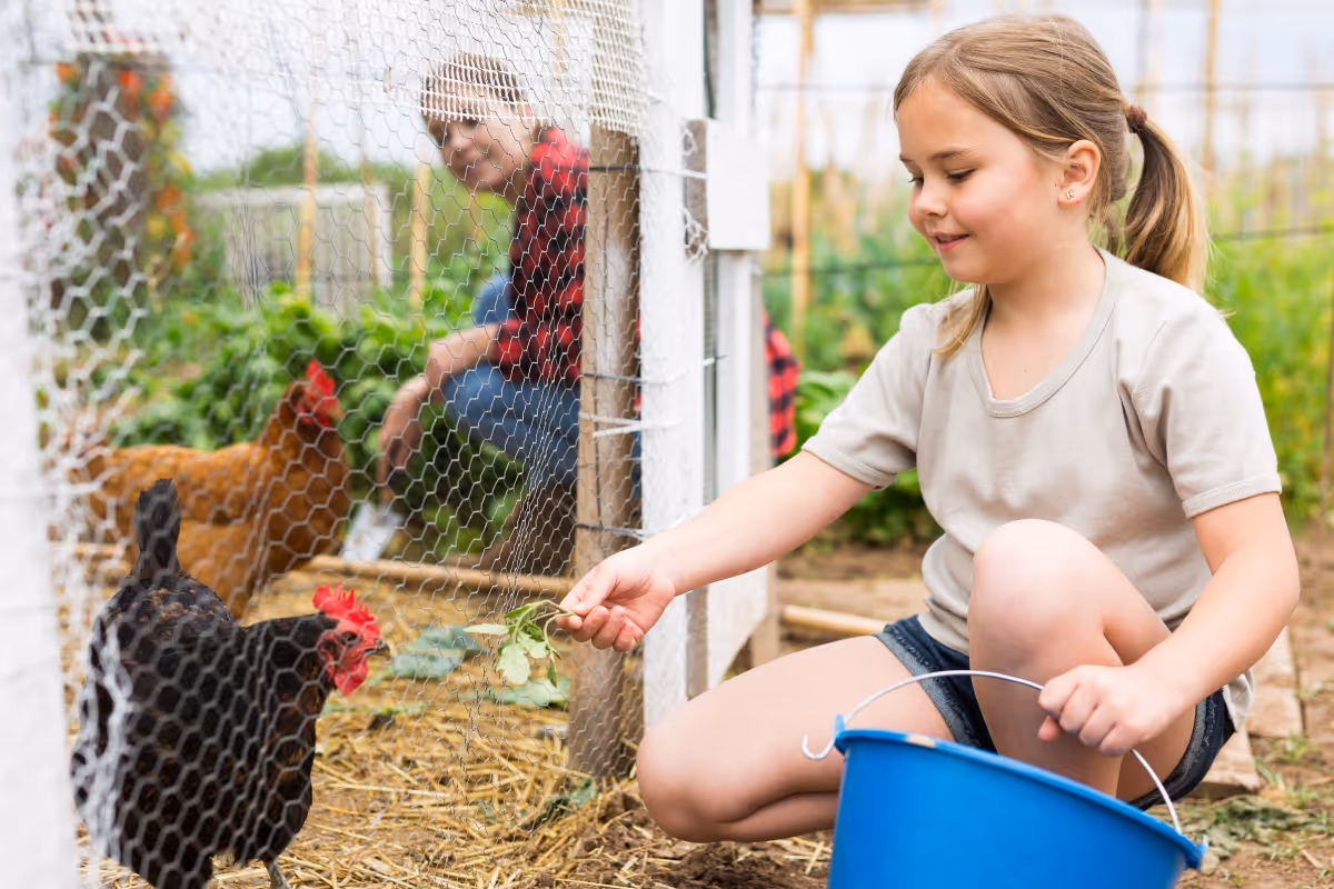 Spring chicken coop maintenance.