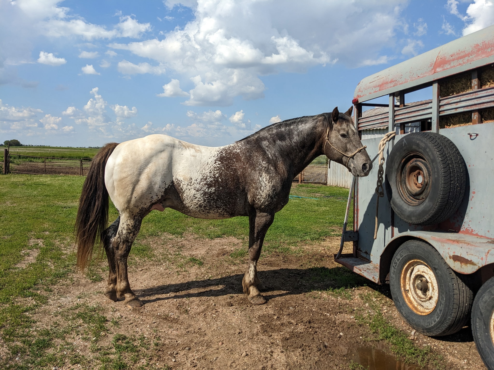 Salty Stole The Look