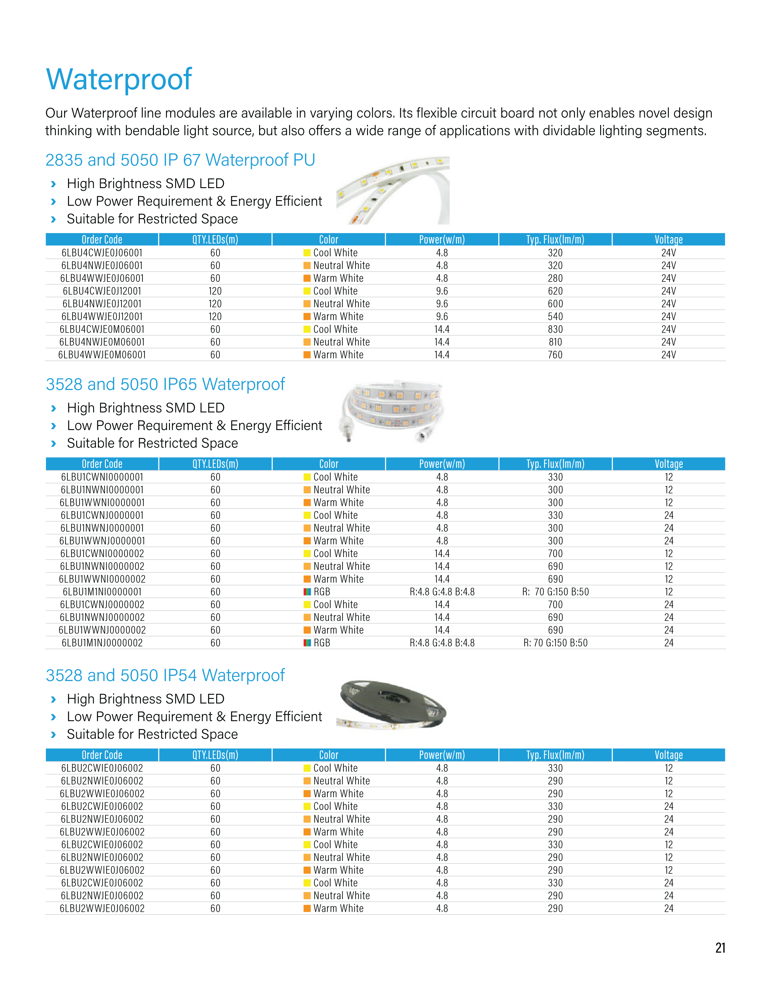 New Product LED Catalog Pg.21