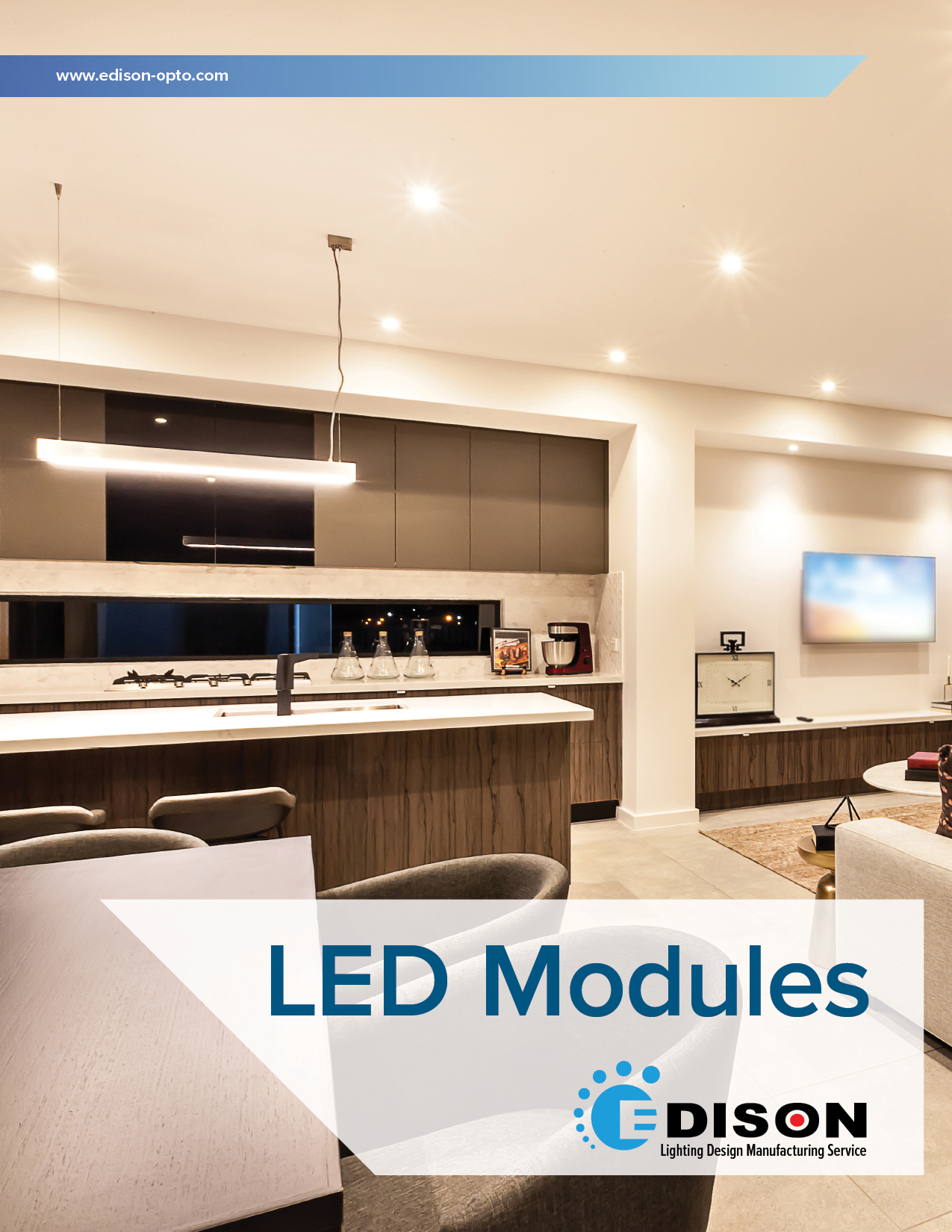 LED Modules Mini Catalog Front Cover