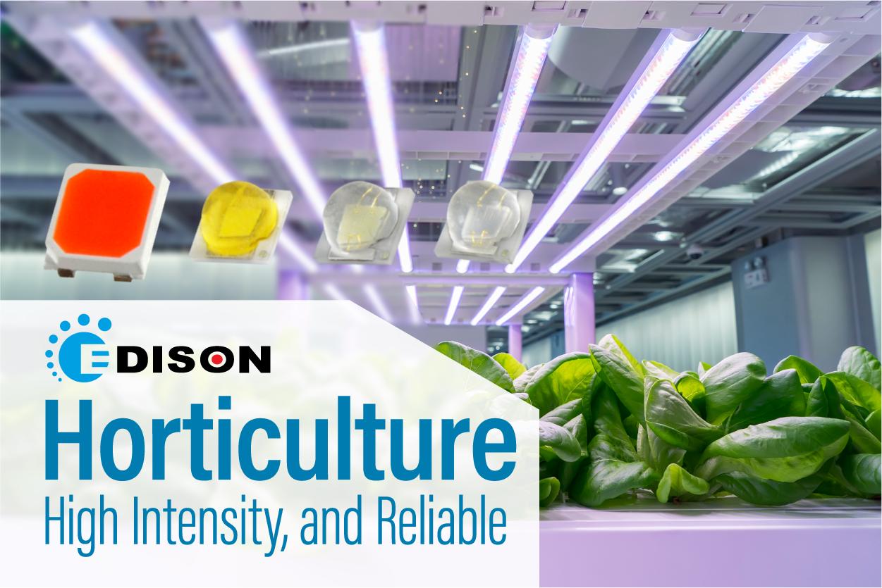 Magazine AD Horticulture LinkedIn Banner