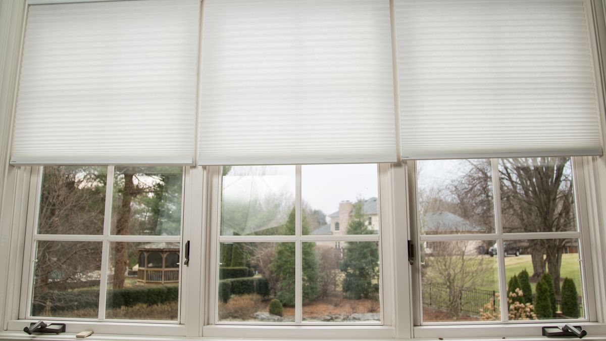 Serena shade picture