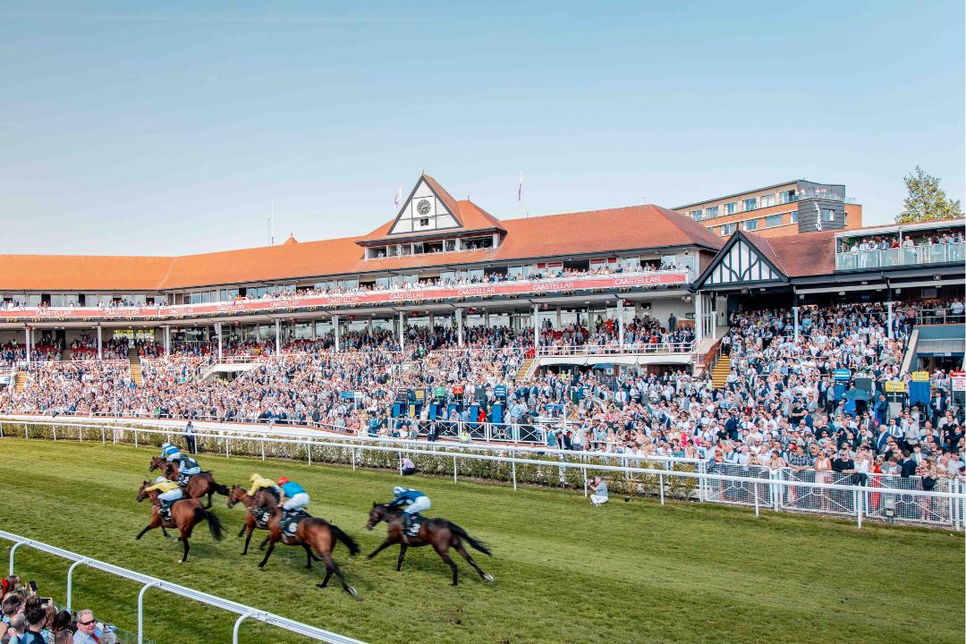 Runners racing past the packed grandstand at Chester Racecourse
