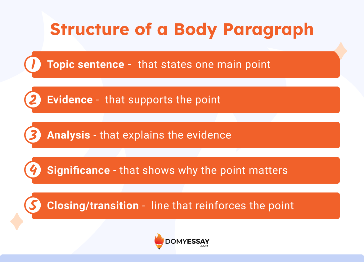 Essay Body Paragraph Structure: Steps, PEEL & Examples