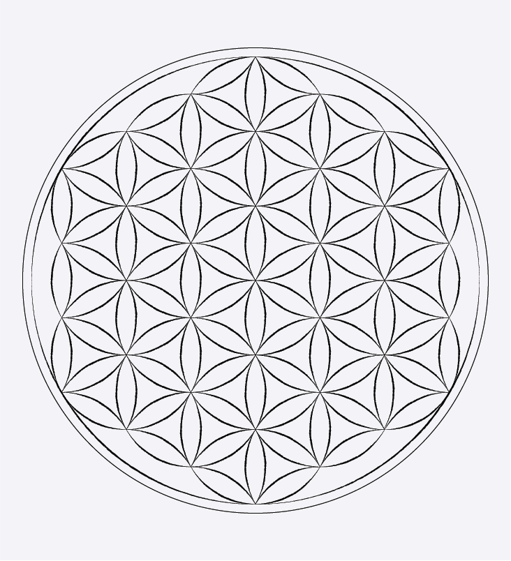 On white background flower of life.