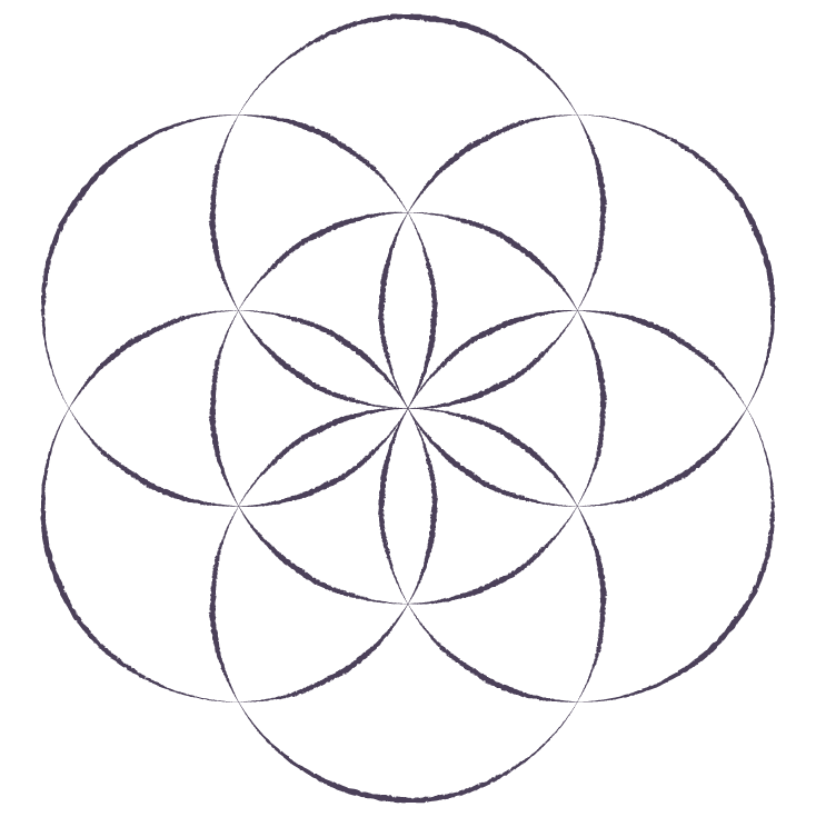 Interlocking circles, forming the seed of life.