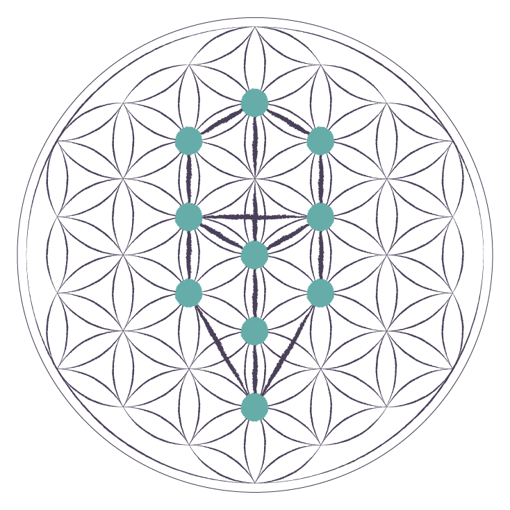 Interlocking circles forming the tree of life.