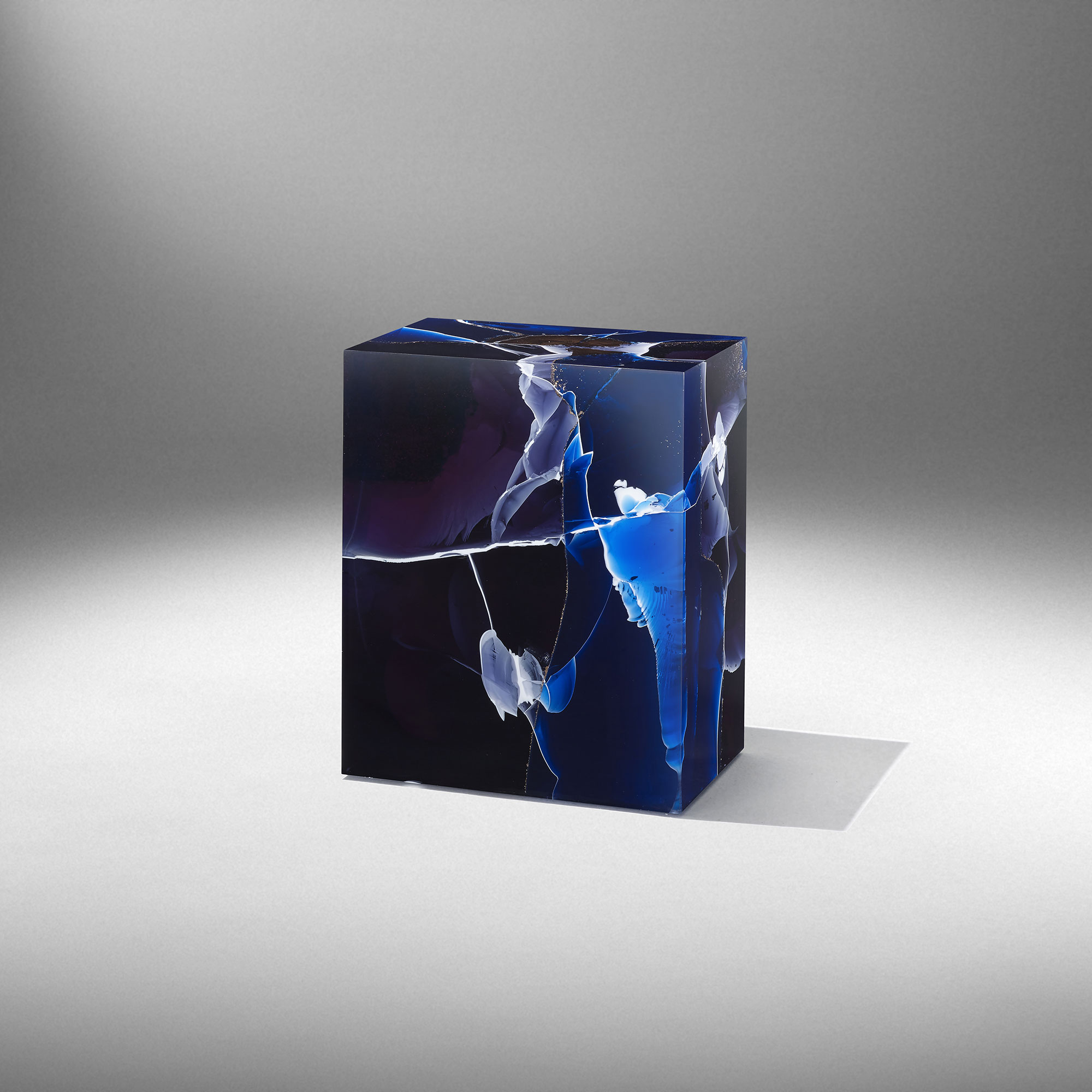 Lapislazuli Stone Fossil 04