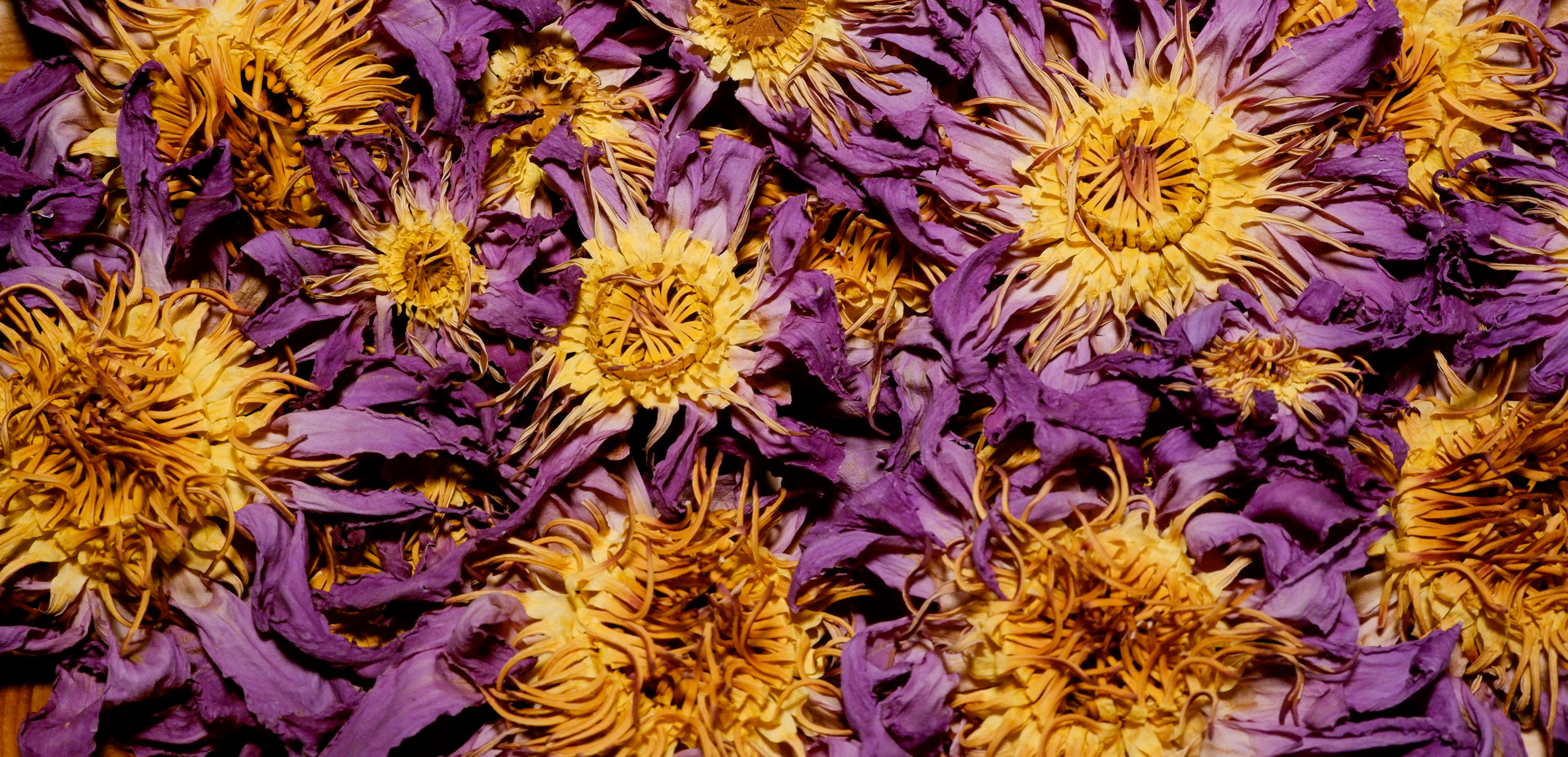 Beeswax honey cone candle 2" x 8"