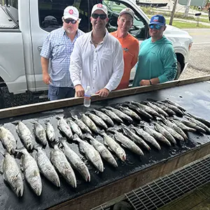 speckled trout fishing charter