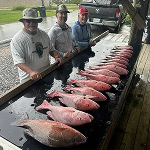 louisiana snapper fishing charter