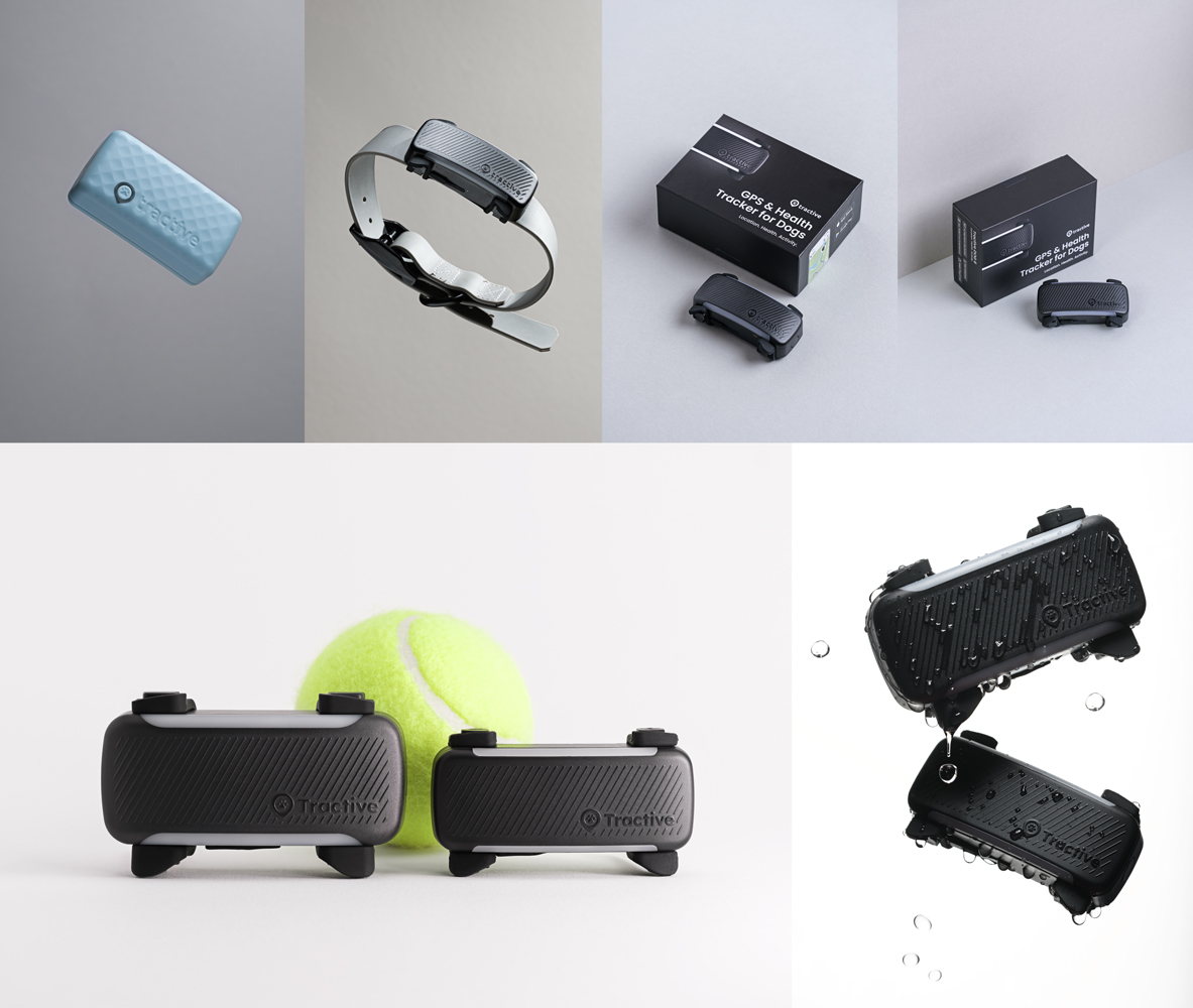 graphic design identity
