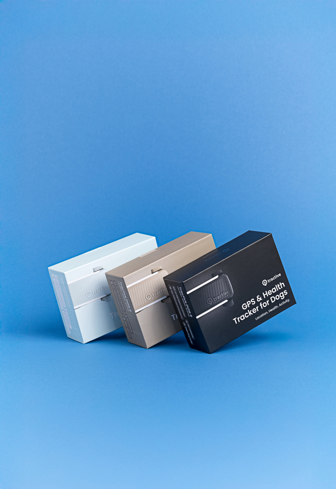 graphic design identity