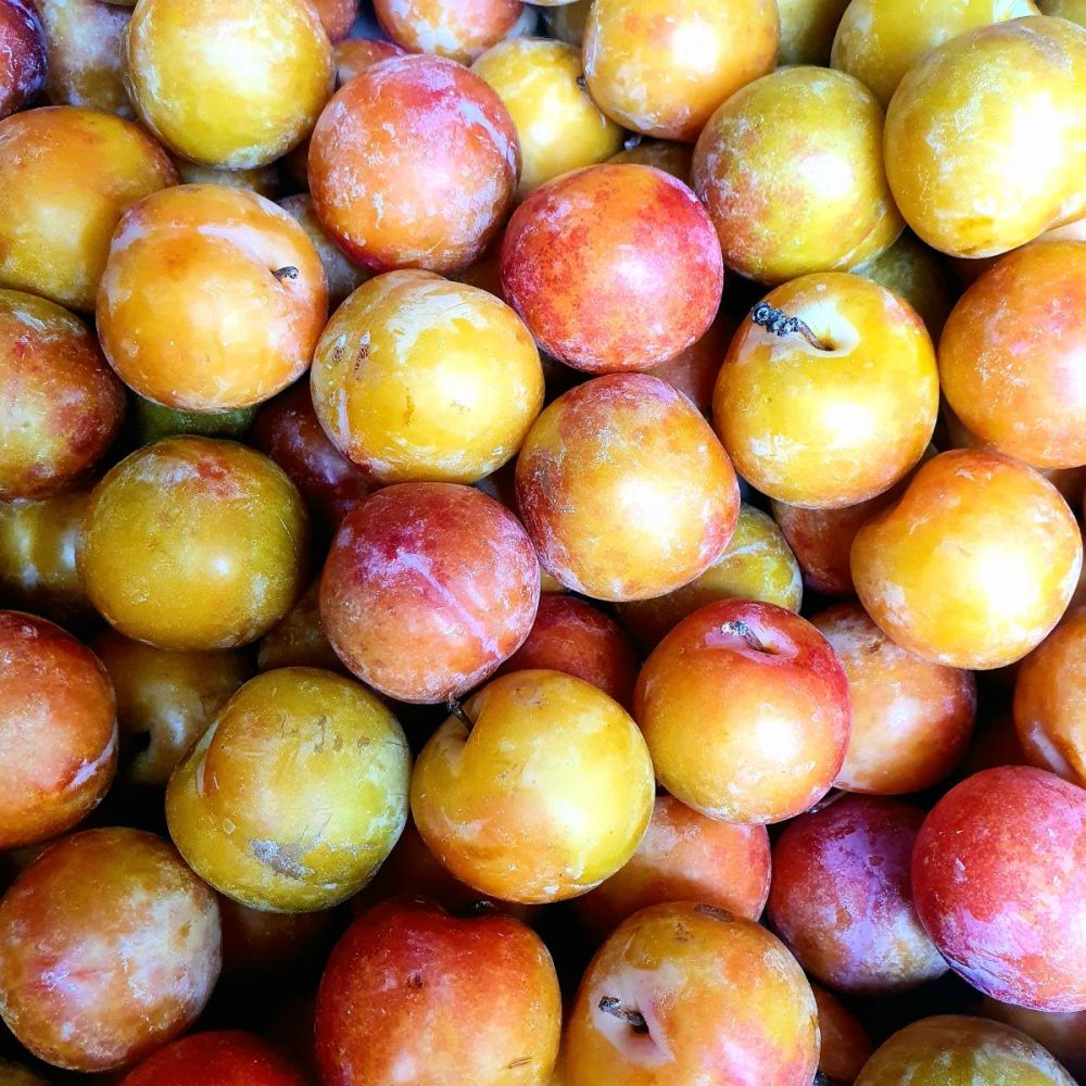 panier de fruit entreprise lyon