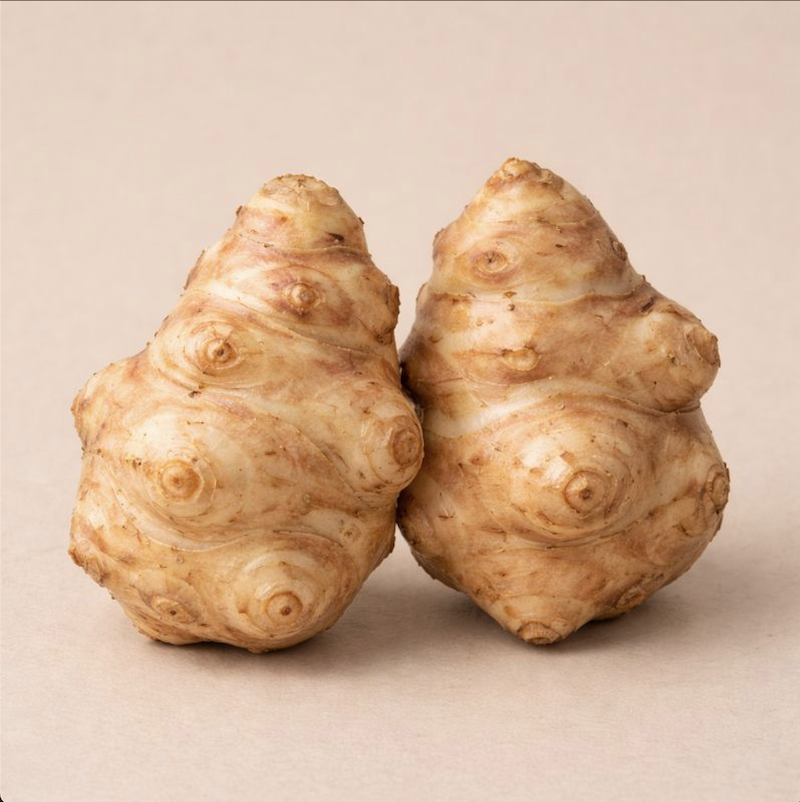 Topinambour de Mornant