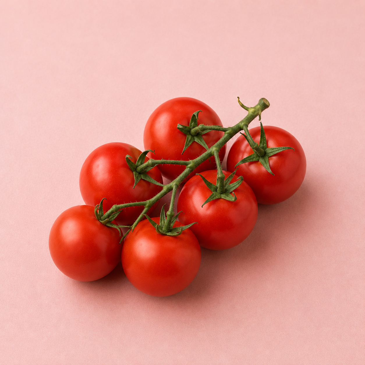 Tomates grappe de Saint-Andiol