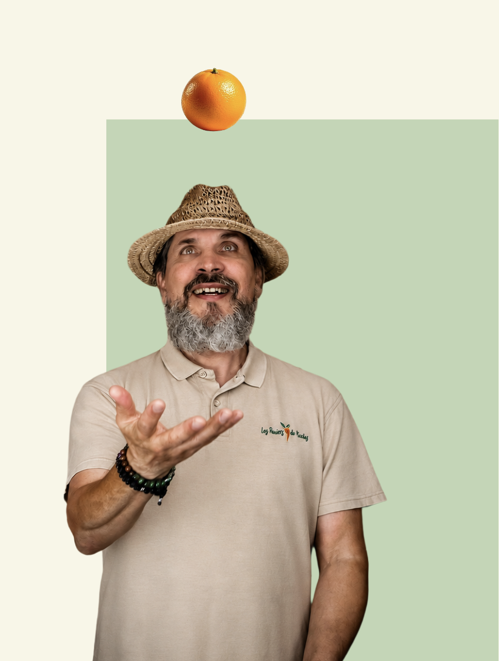 Animation velosmoothie challenge