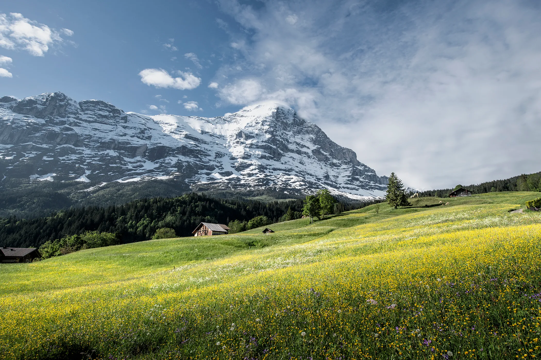 vue sur l'eiger depuis l'hôtel aspen de grindelwald en suisse
