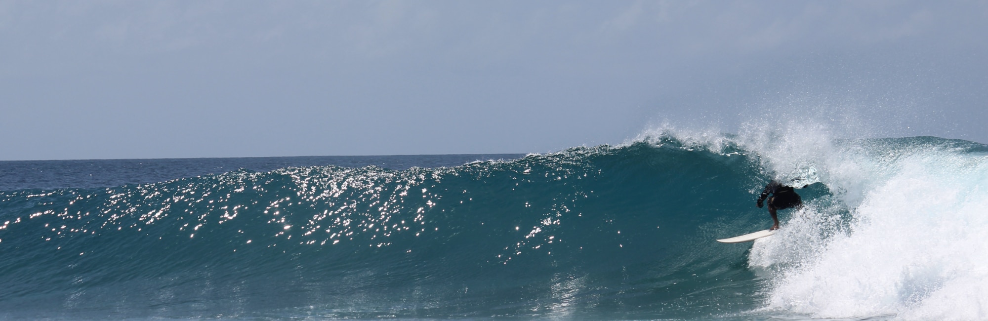 A perfect barreling wave in the maldives central atolls