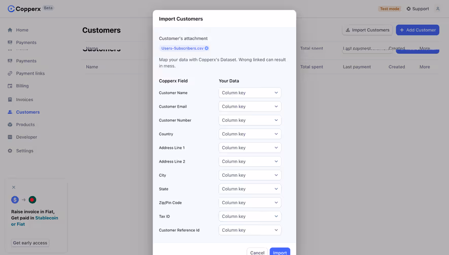 Copperx Customers Import Mapping