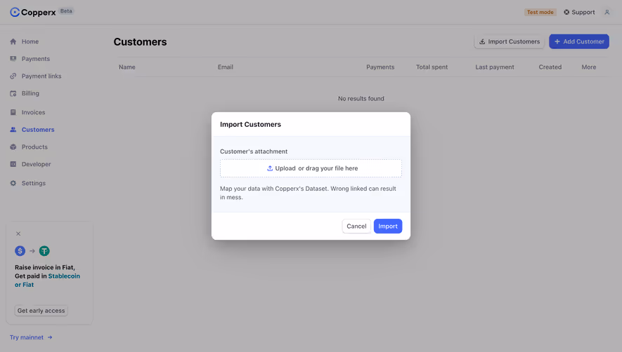 Copperx Import Customers
