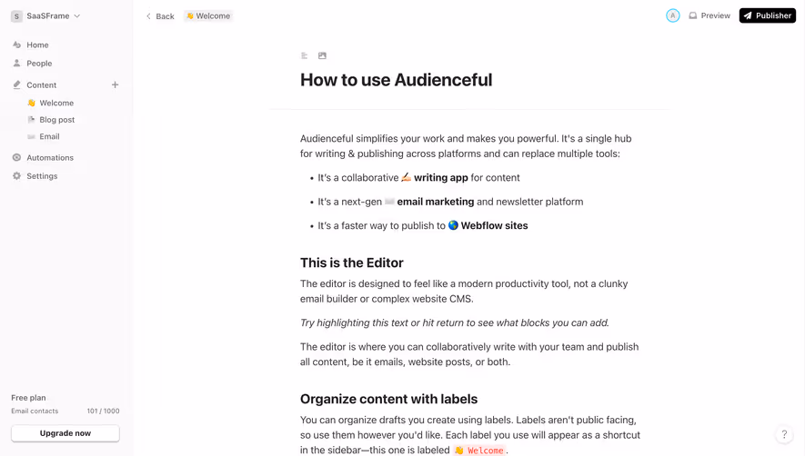 Audienceful Text Editor