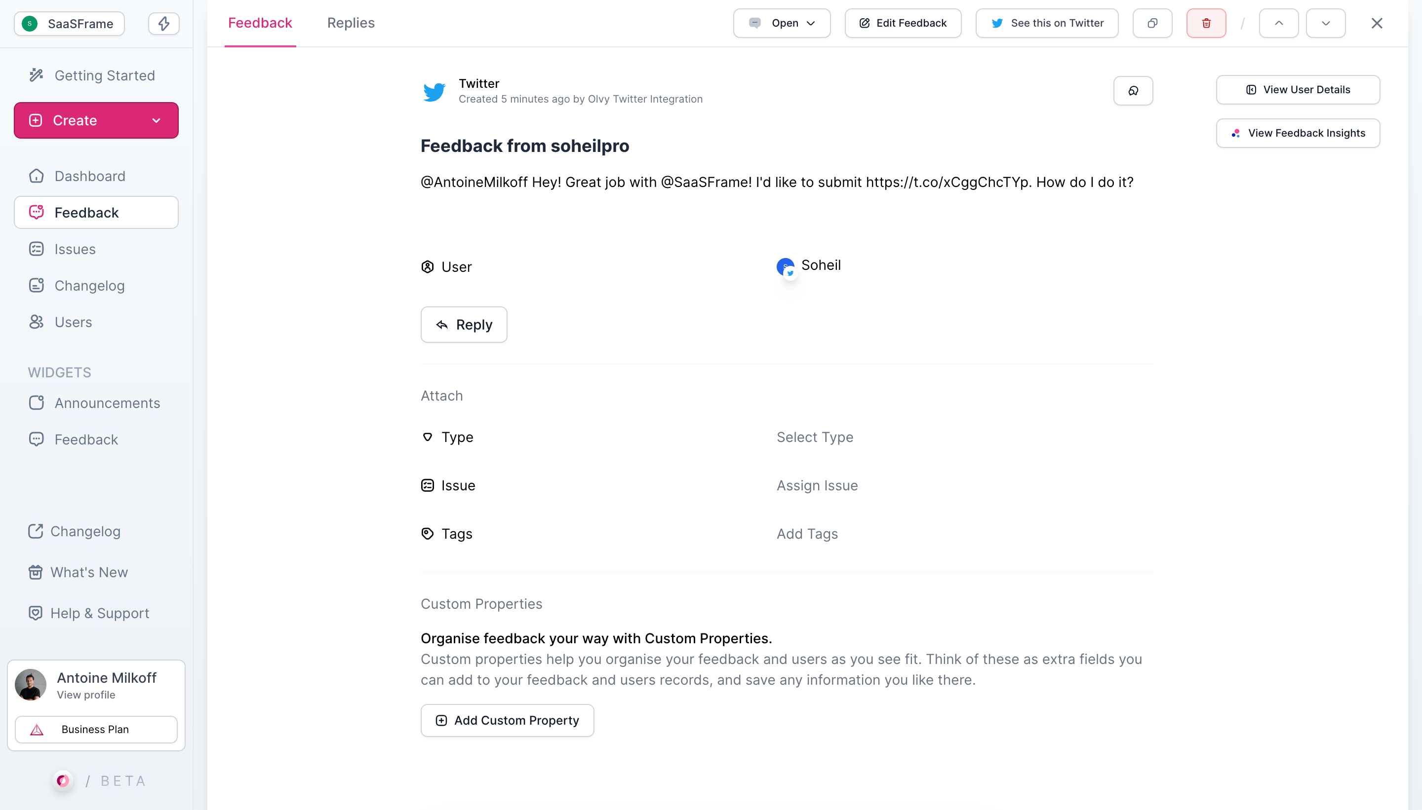 Olvy Feedback Details SaaS interface example