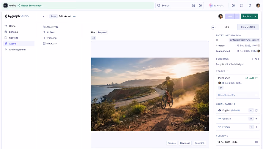 GraphCMS Asset details and preview