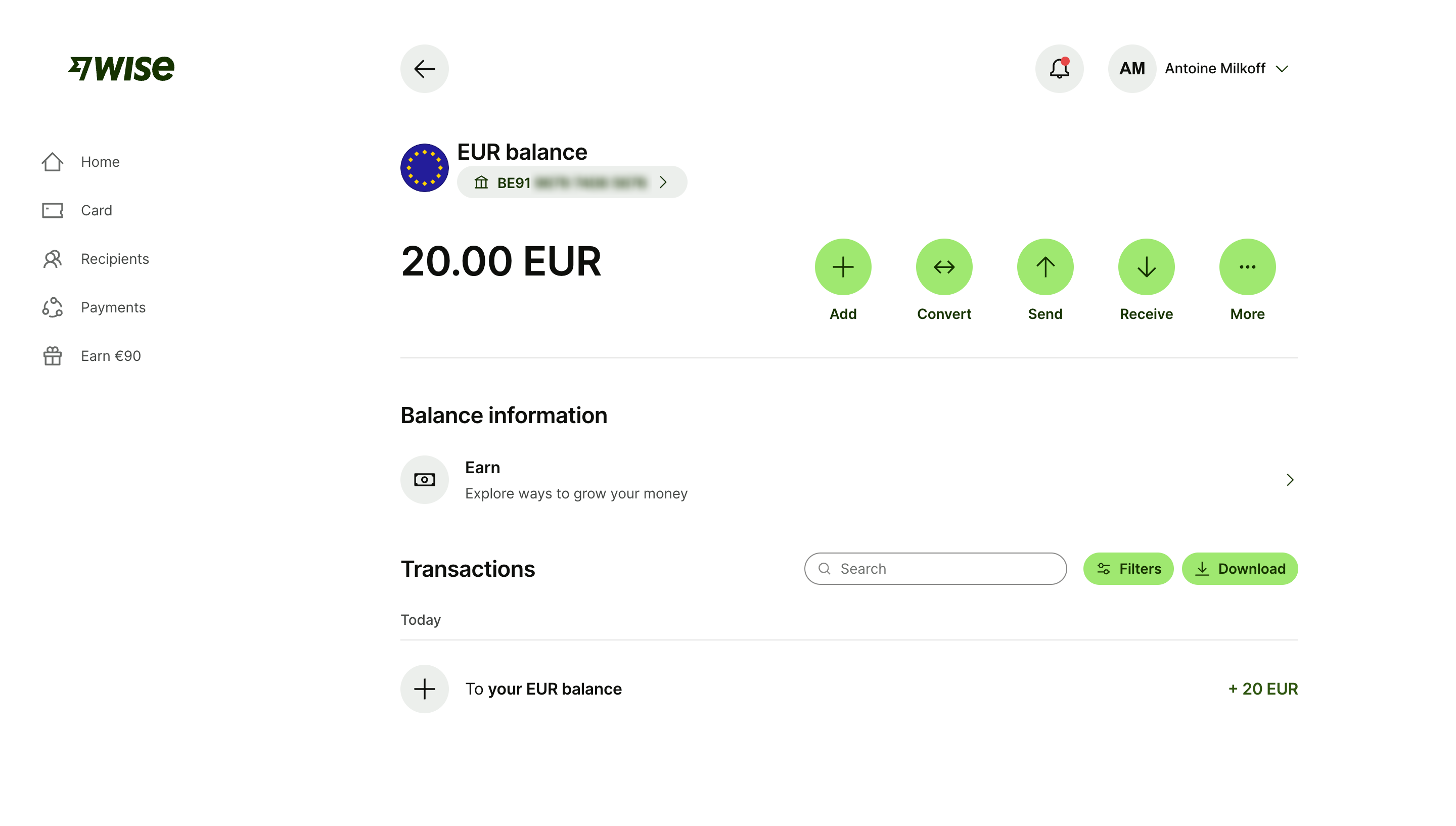 Wise Account Balance