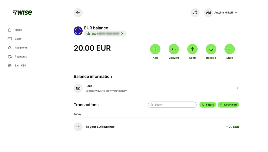 Wise Account Balance
