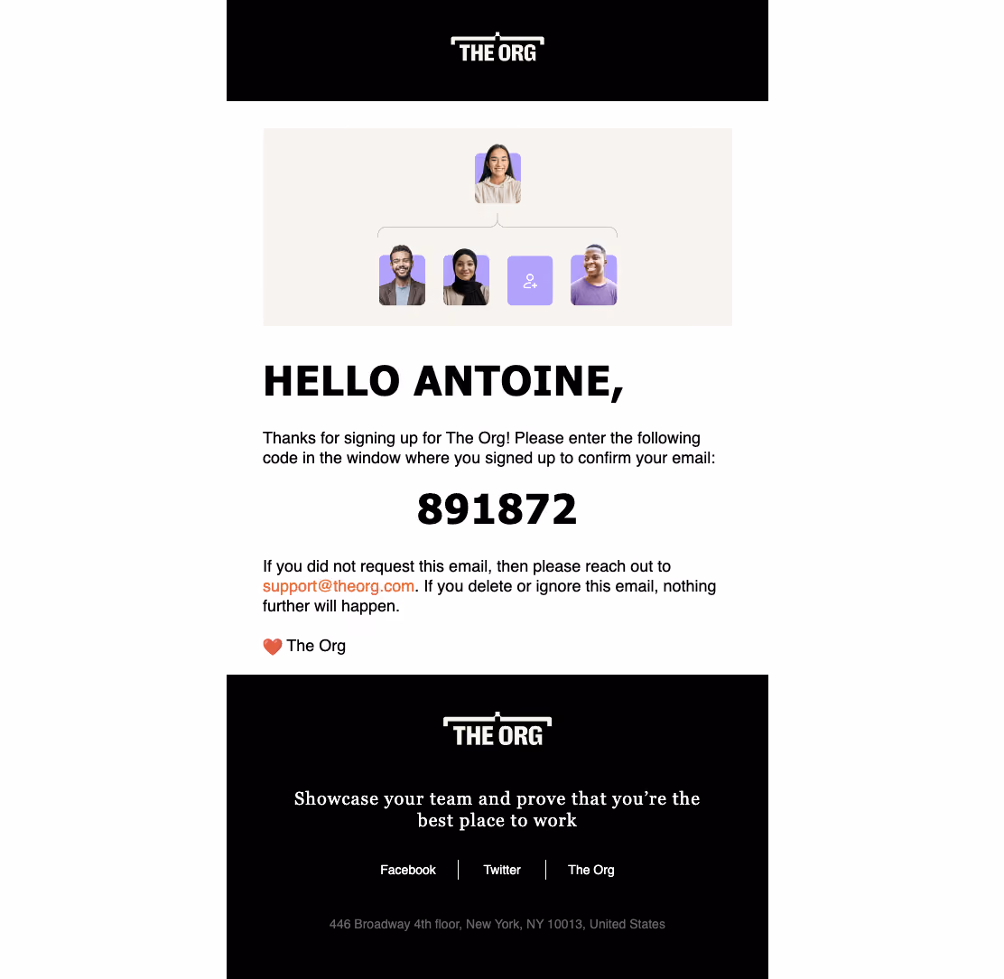 The Org Verification Email