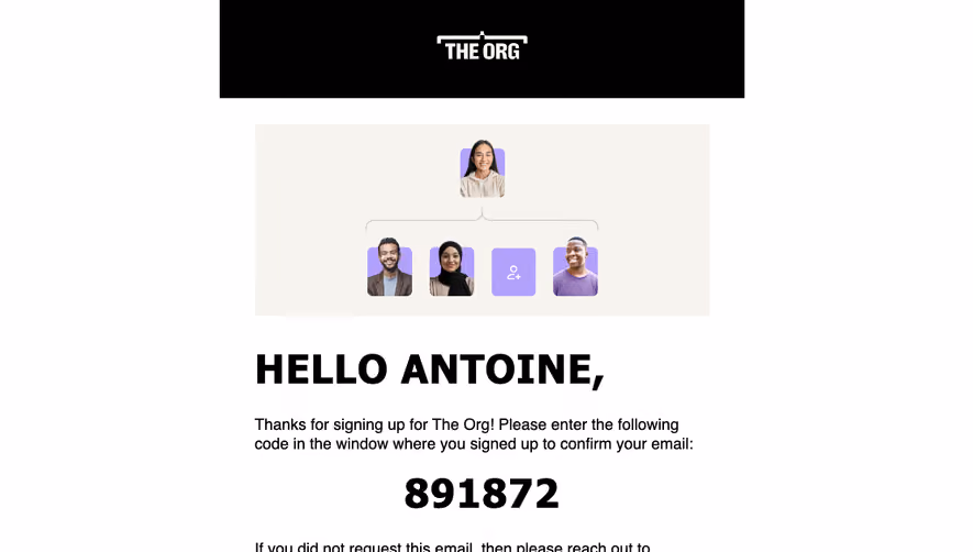 The Org Verification Email
