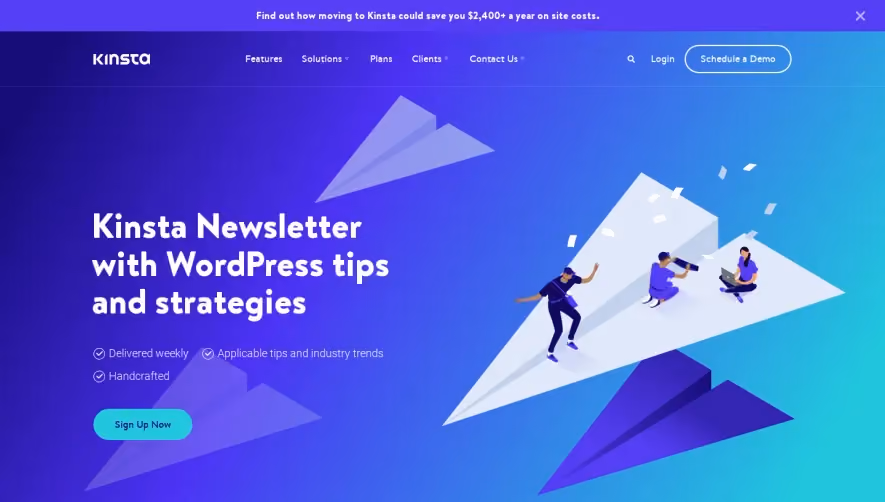 Kinsta Newsletter Page