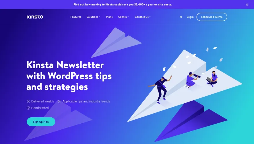Kinsta Newsletter Page