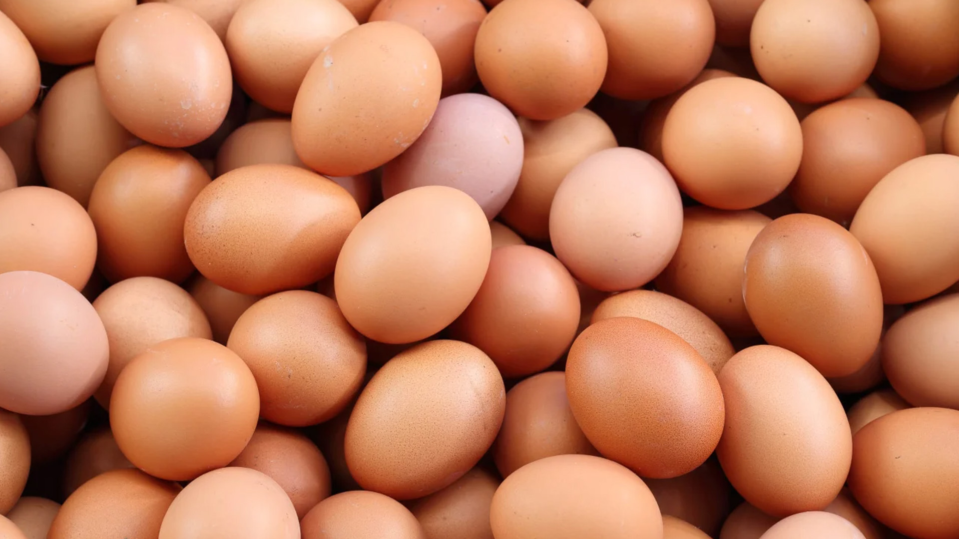 cooling system for egg cold room