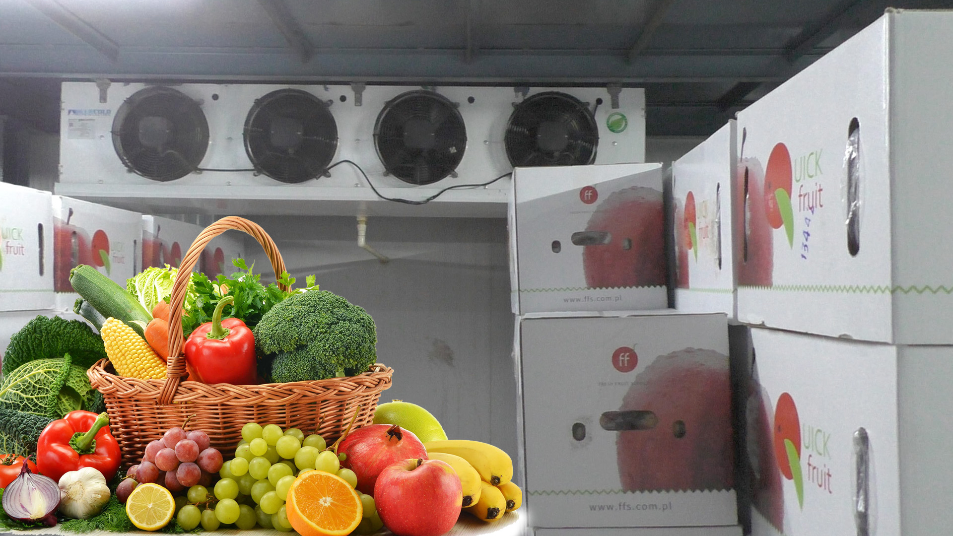 cold room cooler for fruits and vegetables storage