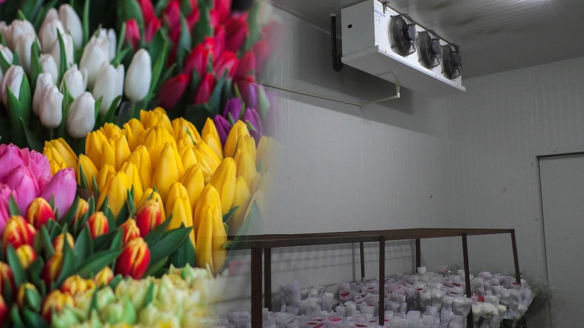 Low air duct refrigeration unit for flower cold room