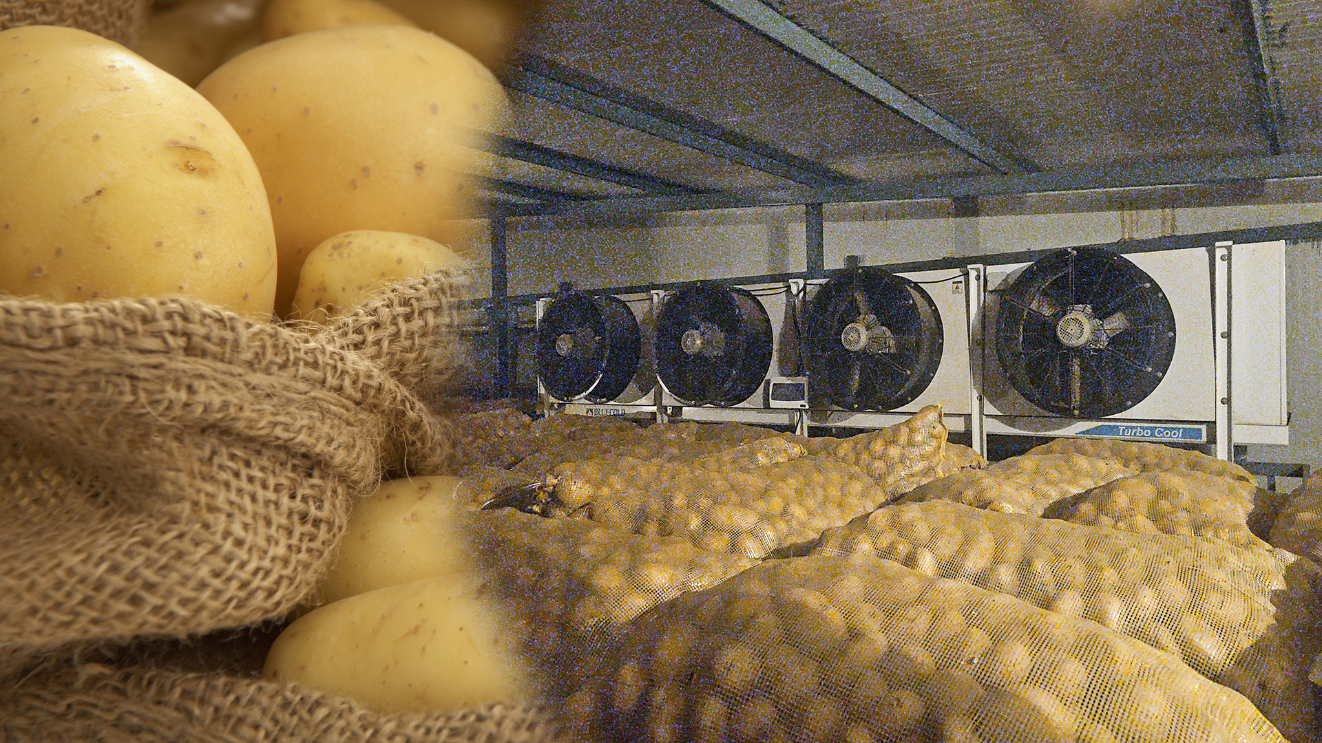 Ice Cream - Hardening & Freezer Room