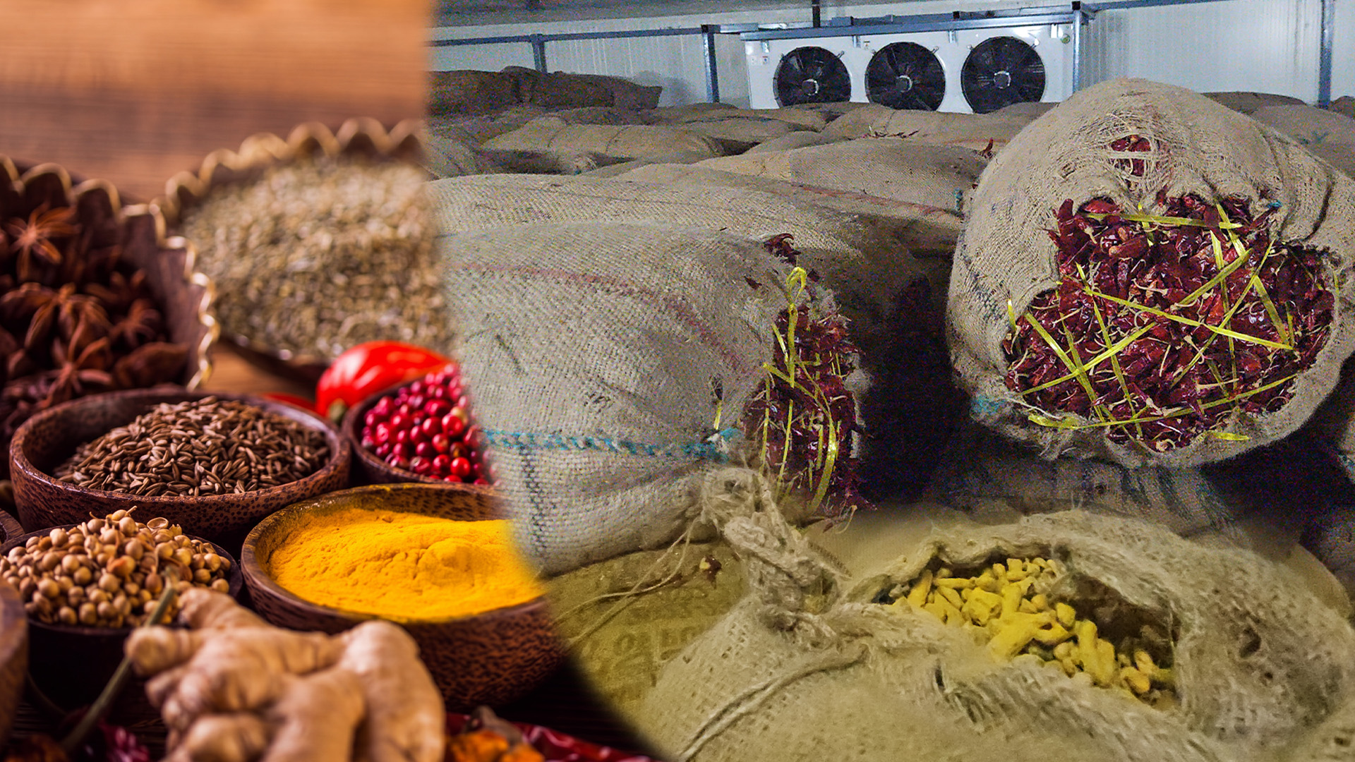 Cold storage system for multi commodity products