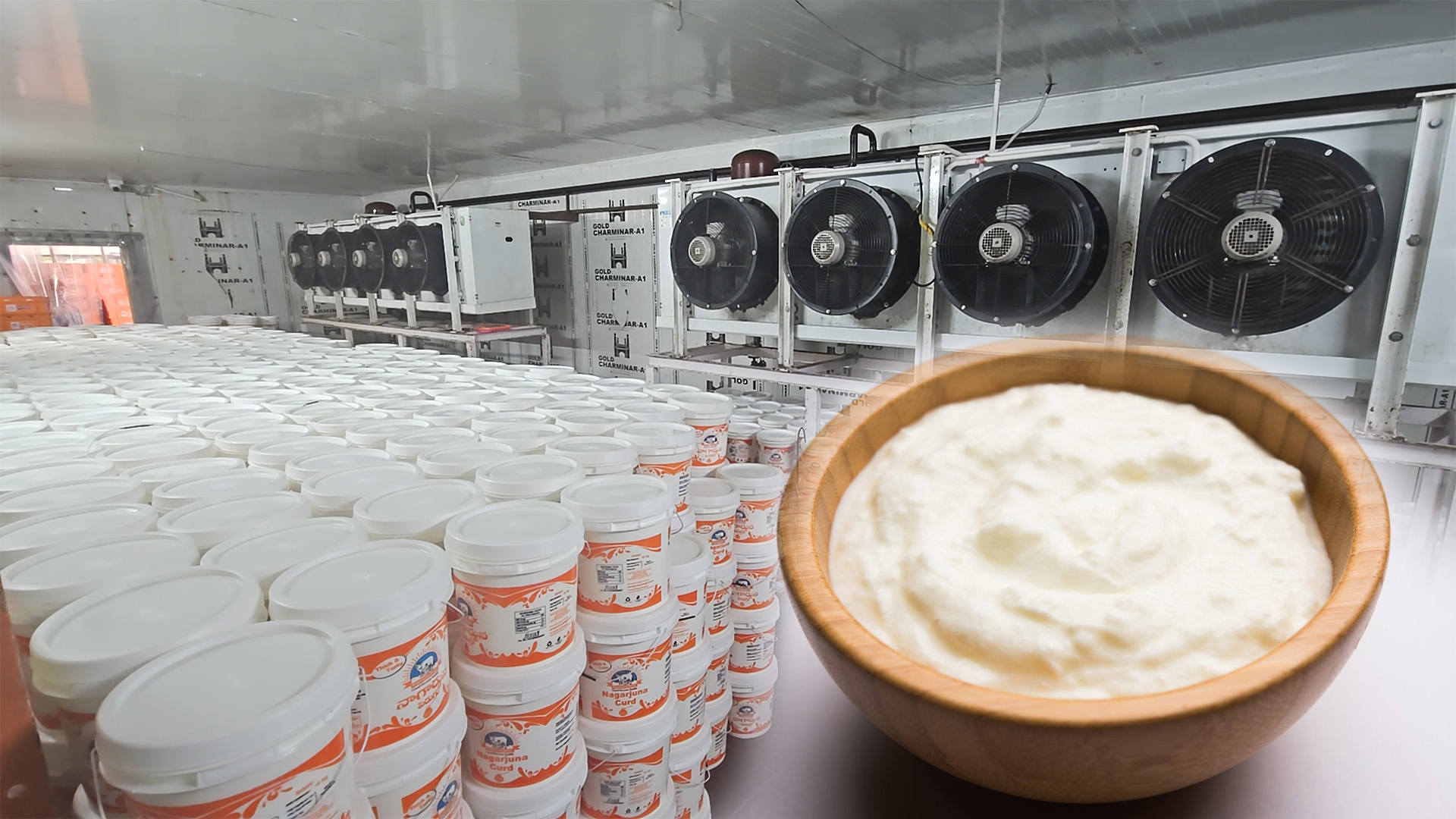 From incubator to cooler, blast chiller units for curd processing