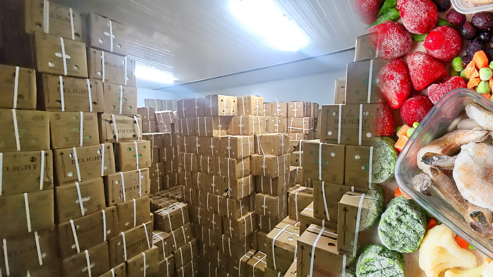 freezer room refrigeration equipment for frozen food