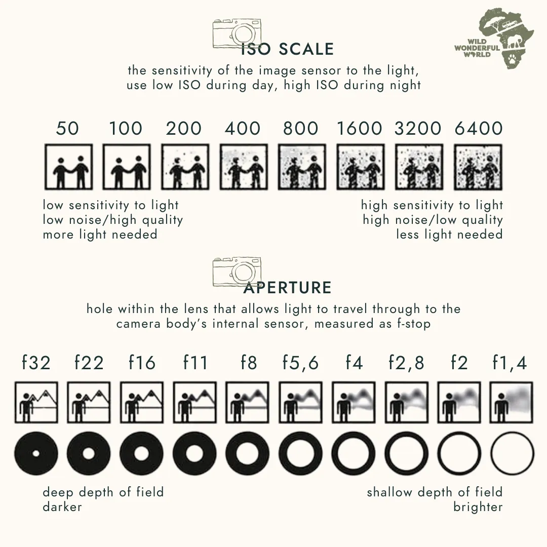 ISO and aperture scales: playing with light © Wild Wonderful World
