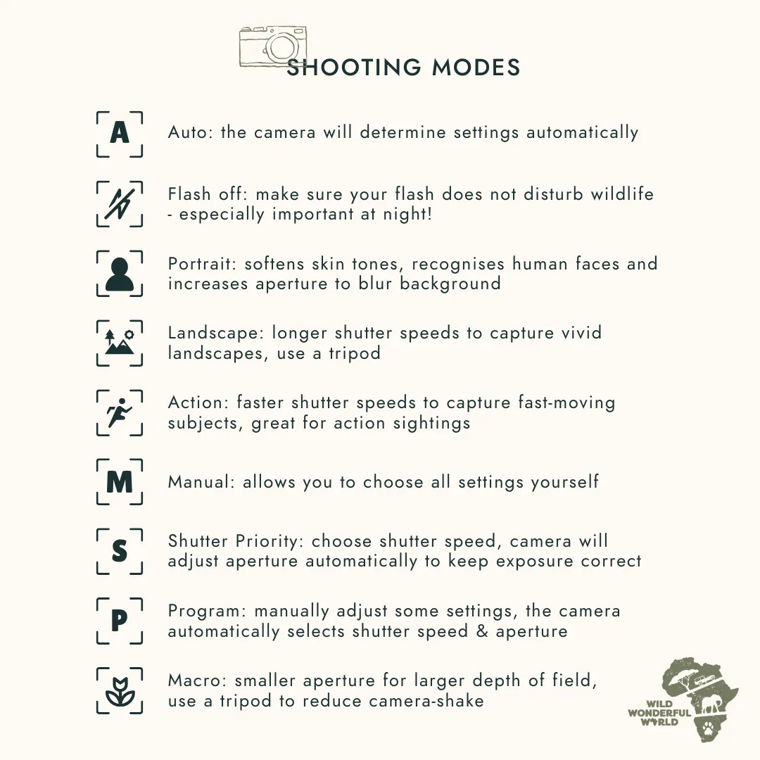 Most DSLR and mirrorless cameras come with these standard settings. © Wild Wonderful World