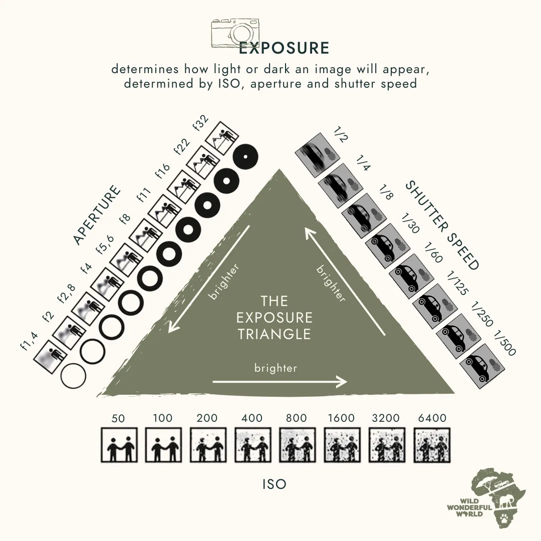 The exposure triangle: bringing it all together © Wild Wonderful World