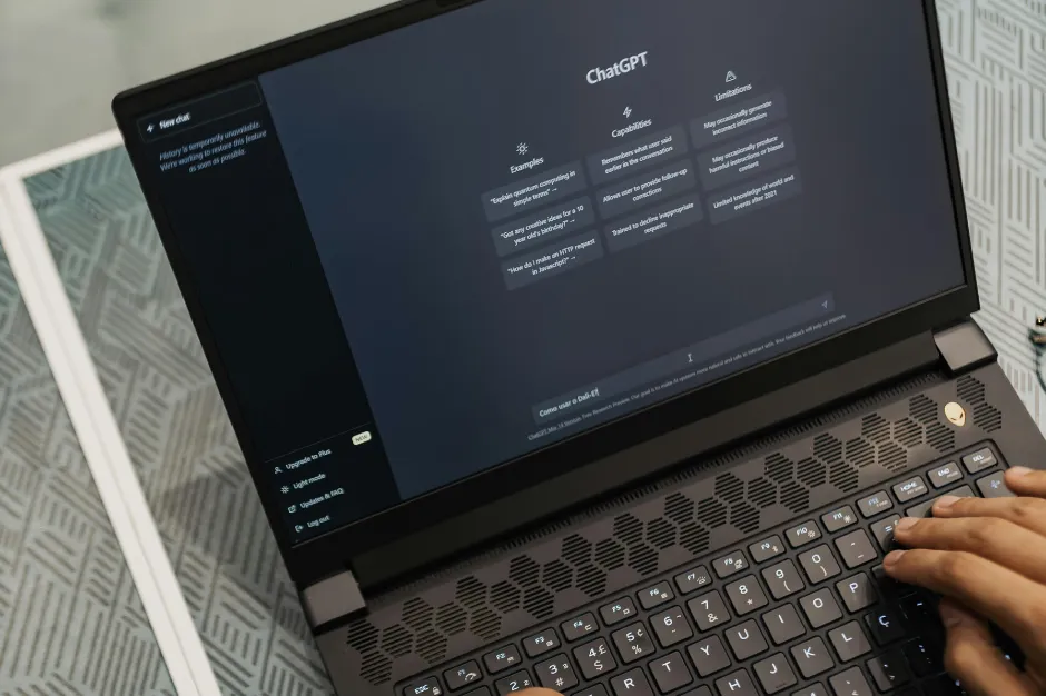 We let Chat GPT design our safari...