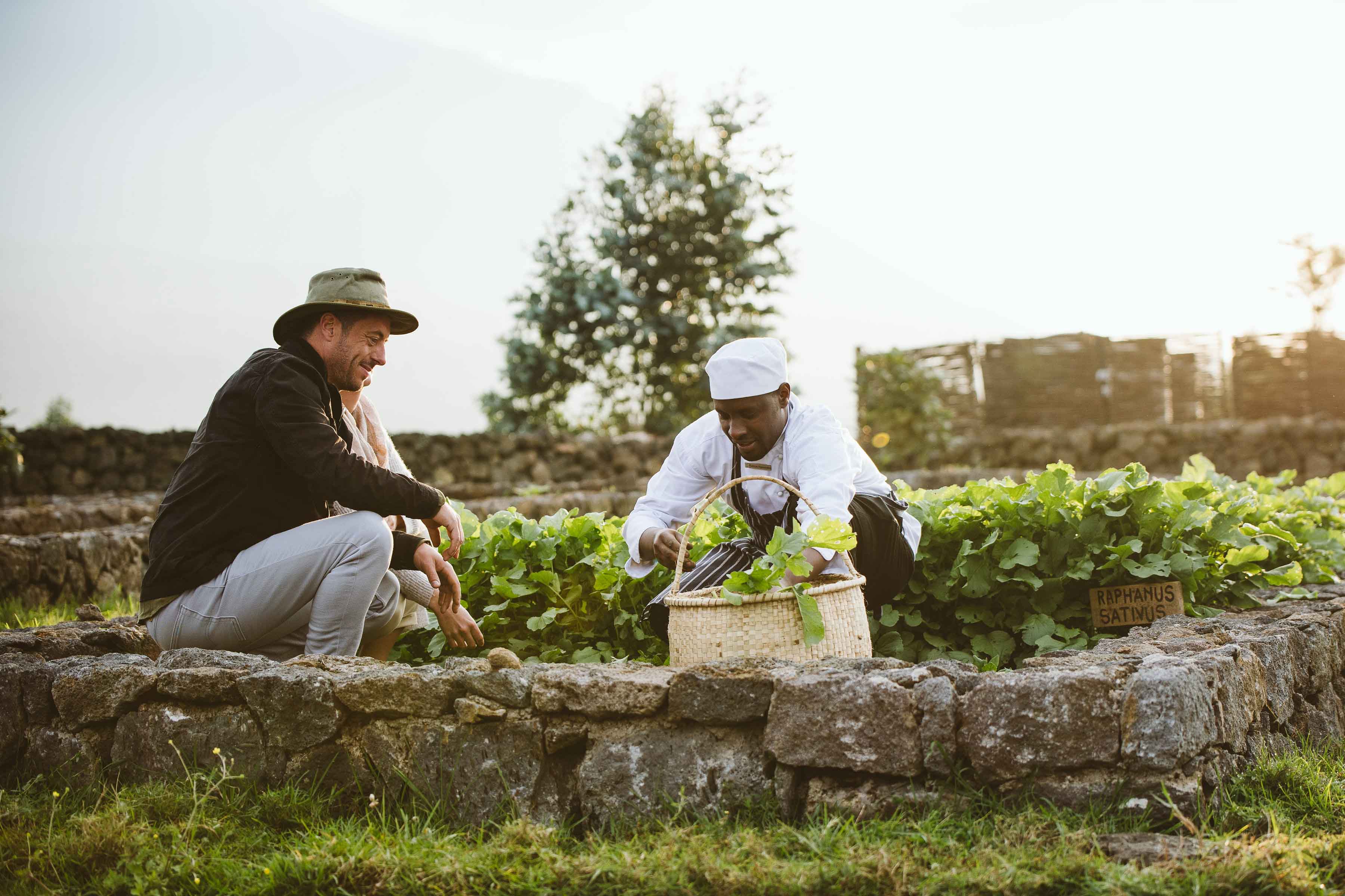 A chef shows safari tourists how vegetables are grown in the lodge vegetable garden. Singita Kwitonda.