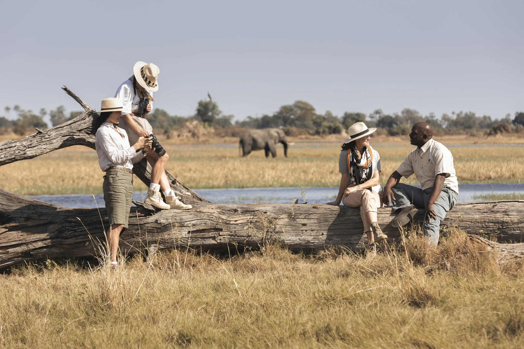 Safari travelers sitting on fallen over tree in the African bush, with elephant in the background. Little Mombo.