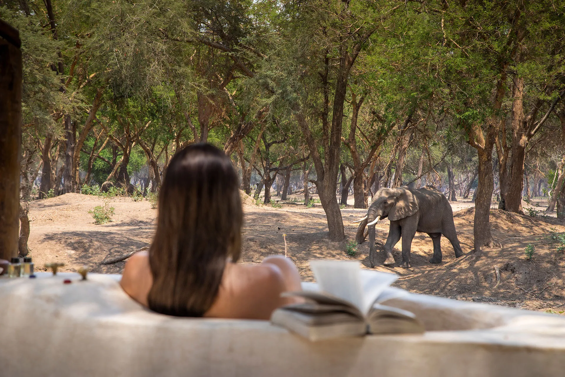In the African wilderness, you're never really alone... Photo: Old Mondoro in Zambia. 