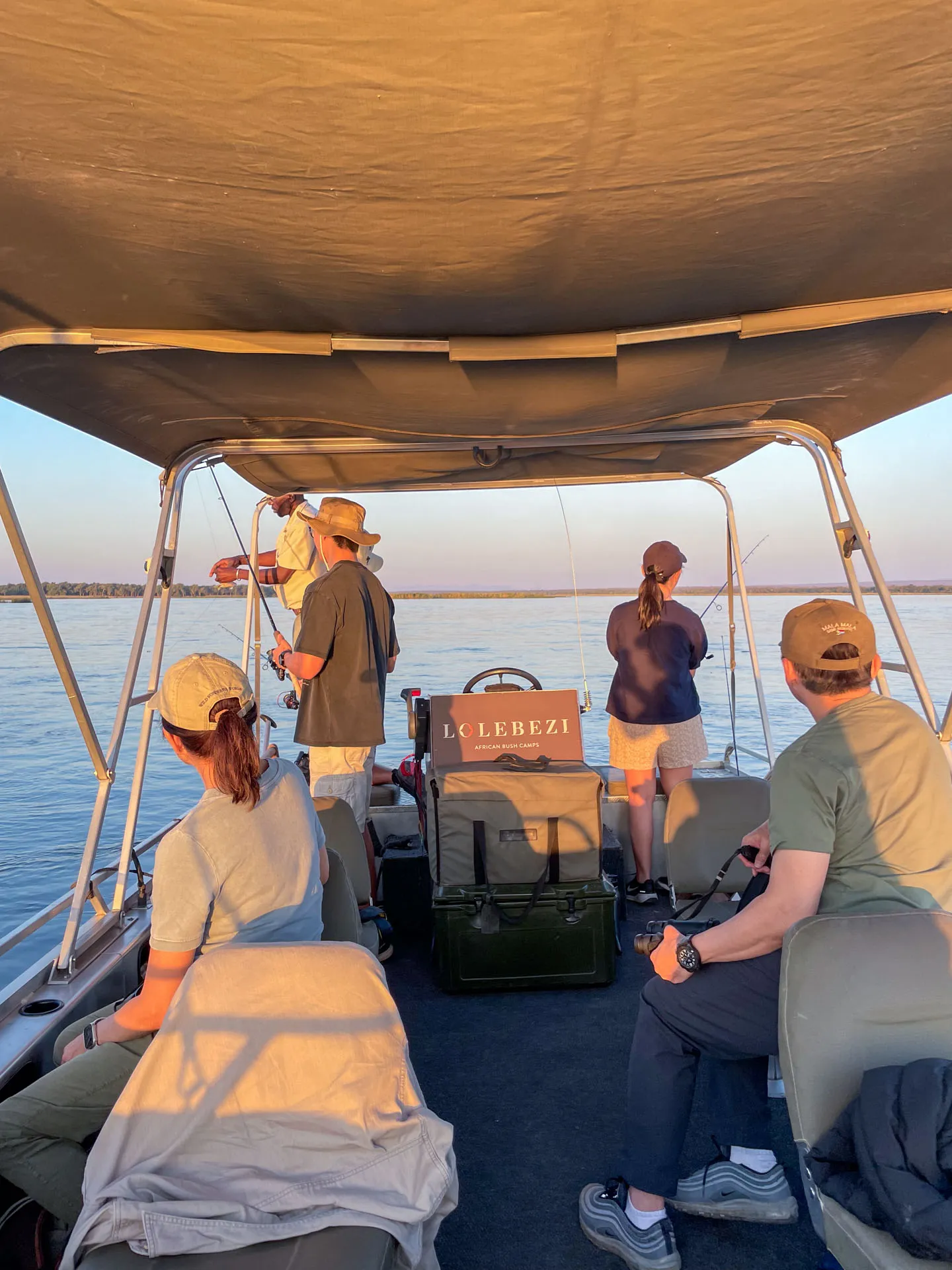 Tiger fishing on the Zambezi. Photo Wild Wonderful World